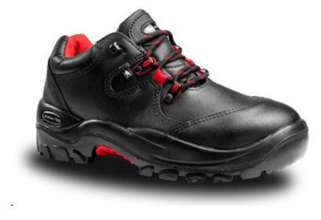 LEMAITRE FALCON SHOE